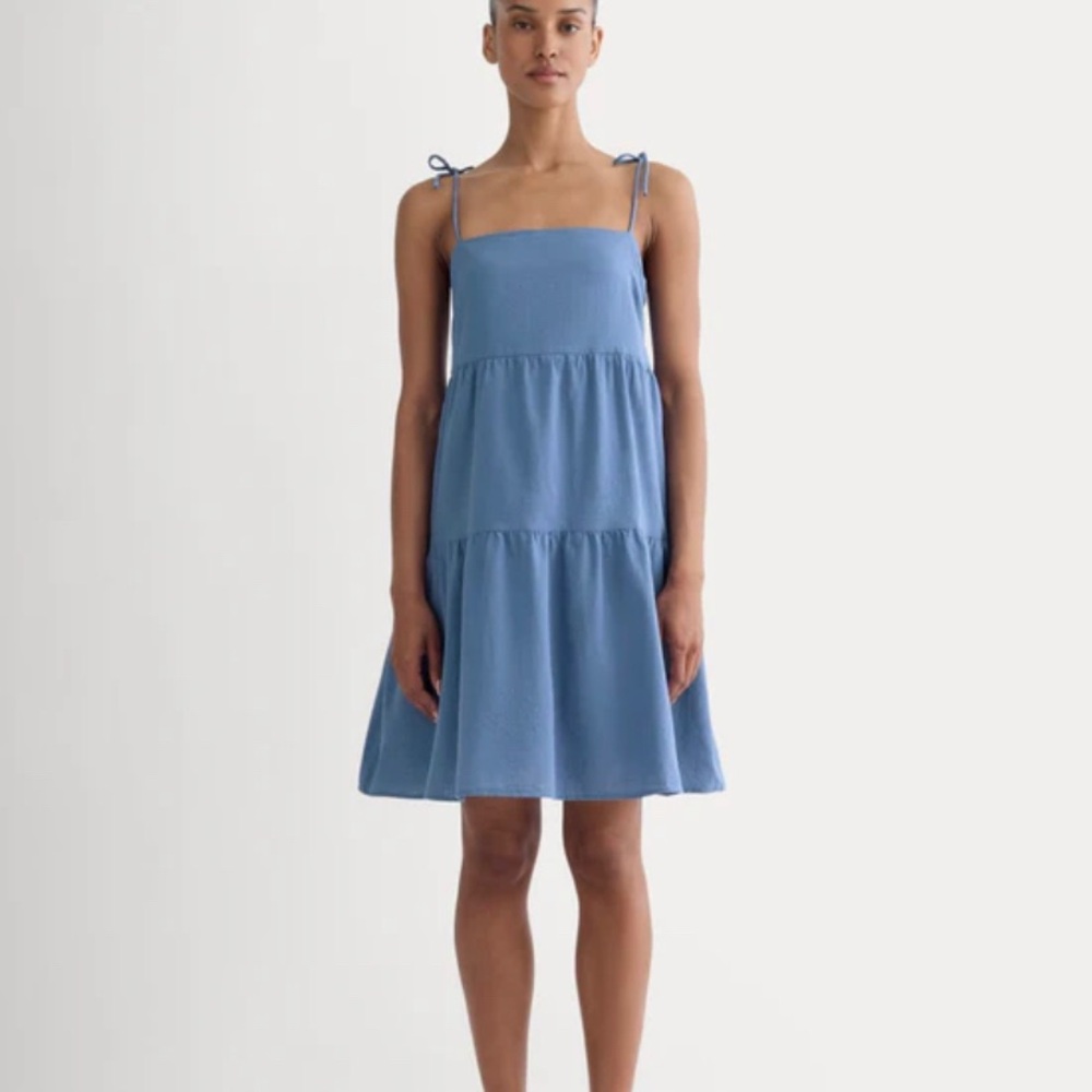 Everlane Blue Tiered Mini Dress